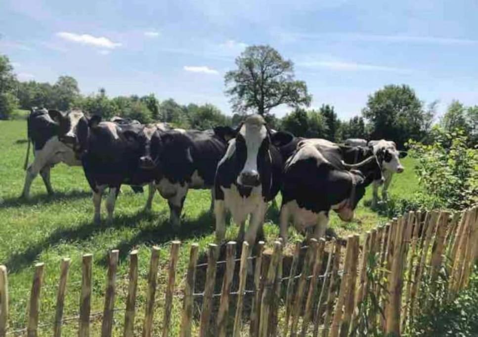 Villa Statige Boerderijwoning Met Vrij Uitzicht En Tuin Hoogzand Esterno foto