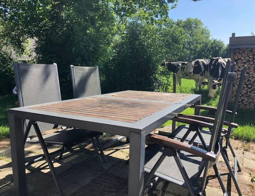 Villa Statige Boerderijwoning Met Vrij Uitzicht En Tuin Hoogzand Esterno foto